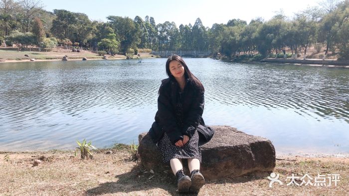 松山湖南湖湾露营营地图片