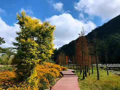 -广州市石门国家森林公园