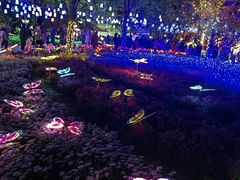 -燕郊植物园