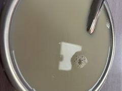 -蒙记老牌豆浆