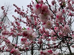 -南山风景名胜区