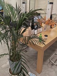 点击看大图 -慕名造型