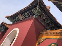 -北陵公园