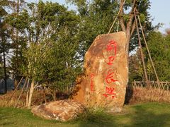 -上海长兴岛郊野公园