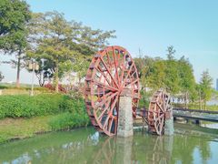 -顺峰山公园