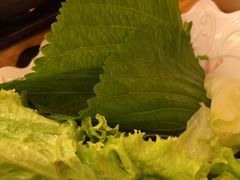 -元奶奶包饭(公新银浦店)