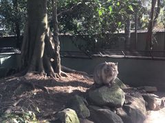 -费瑟代尔野生动物园