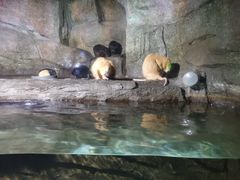 -泉城欧乐堡海洋极地世界