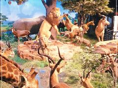 -国家自然博物馆