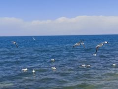 -青海湖二郎剑景区