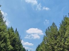 -东升八家郊野公园