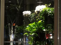 -北京康莱德酒店