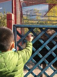 -萌宠亲子动物乐园(槐房万达店)