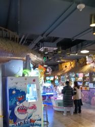 -卡通尼·Safari非洲探索乐园·生日会(金桥国际商业广场店)