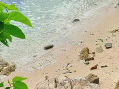 -威海国际海水浴场旅游区