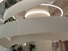 -大树餐厅(朝阳大悦城店)
