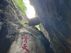 -武陵山森林公园