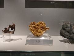 -中国地质博物馆