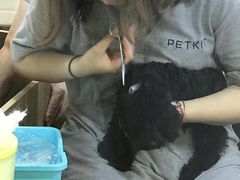 -PETKIT小佩宠物(古北店)