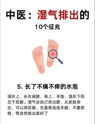 -Fundi张玉珊修身堂·indiba·BTL科技瘦身