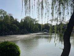 -莲池书院博物馆