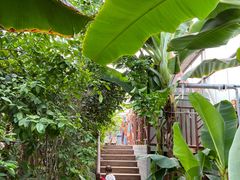 -呀路古热带植物园