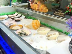 -格瑞欧海鲜自助烤肉火锅(光彩店)
