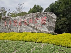 -东平国家森林公园
