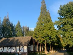 -太阳岛度假酒店