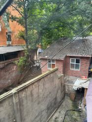 -重庆医科大学附属儿童医院(渝中院区)
