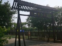 -西青郊野公园