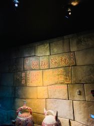 -翱翔飞越地平线