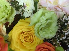 -ChaKo Flora ·茶子花艺 (市北店)