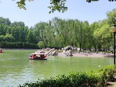 -达活泉公园