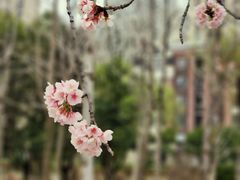 -白塘生态植物园