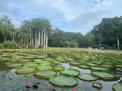 -中国科学院西双版纳热带植物园