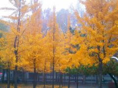 校门-曲阜师范大学(曲阜校区)