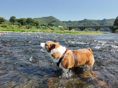 -安吉龙王山峡谷漂流