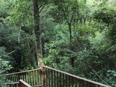 -梅州天地人花园酒店(梅县人民广场店)