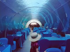 -海棠湾洲际-涛·海底餐厅·美人鱼·自助餐·海底隧道