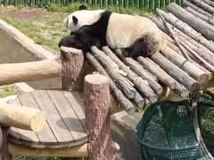 -沈阳森林动物园