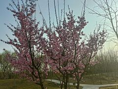 -瀛海足球主题公园