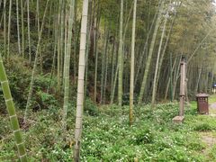 -黄公望隐居地