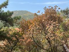 -北京十三陵国家森林公园蟒山景区