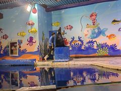 -太平洋海底世界