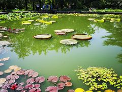 -国家植物园南园