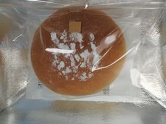 -石头先生的烤炉(济南和谐店)