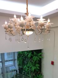 -苗医生草本科技祛痘