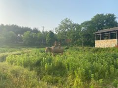 -黄陂区野村谷景区