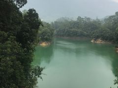 -广州市流溪河国家森林公园